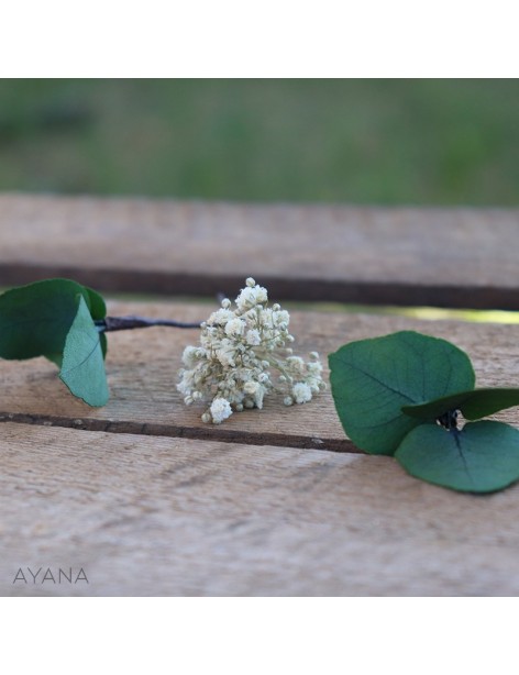 Pic-gypsophile-fleurs-stabilisees