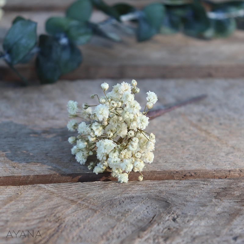 Pic-gypsophile-en-fleurs-eternelles