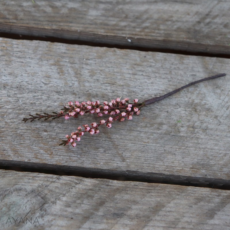 Pic-bruyere-de-fleurs-eternelles