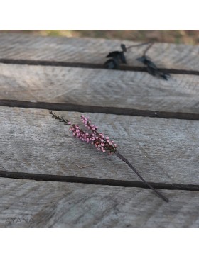 Pic-bruyere-en-fleurs-stabilisees