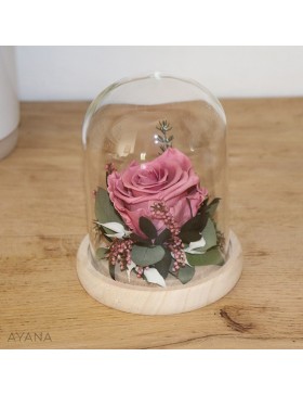 Cloche-en-fleurs-eternelles-tendre-univers