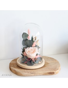 Cloche en fleurs stabilisees fleur aurore