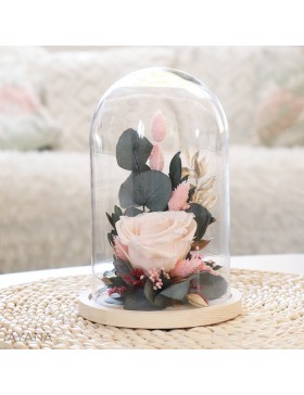 Cloche en fleurs eternelles fleur aurore