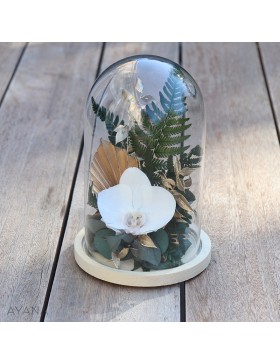 Cloche en fleurs stabilisées tropical chic