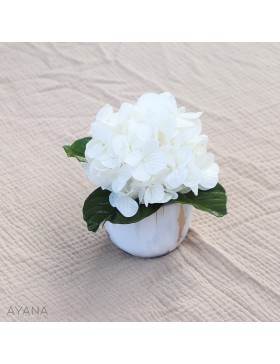 Composition en fleurs sechees GREEN ADDICT HORTENSIA